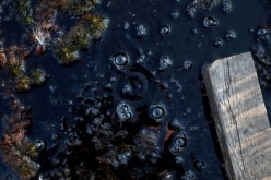 Methane bubbles are seen in an area of marshland at a research post at Stordalen Mire near Abisko, Sweden,
