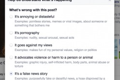 Facebook False News Report