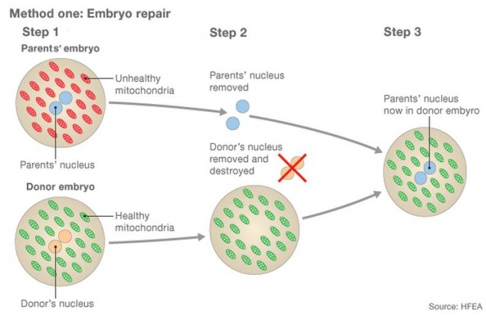 People usually resort to embryo freezing when it is not suitable for a woman to receive the transplant or when some of the embryos have already been transplanted.