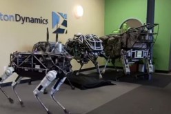 Spot walks past its robot siblings.