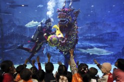 Visitors will be delighted with Beijing Aquarium's underwater dragon dance, which will be the highlight of the aquarium's Spring Festival show. 