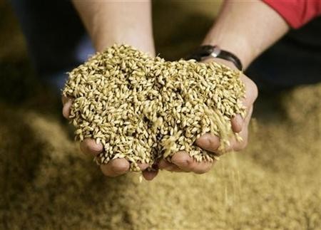 As a result of population growth and urbanization, the country will need to provide 700 million tons of grain by 2020. 