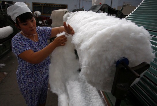 Xinjiang cotton producers are opposing moves by the government to end the stockpiling of cotton that results in inflated prices. 