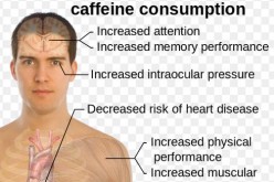 Effects of moderate caffeine consumption