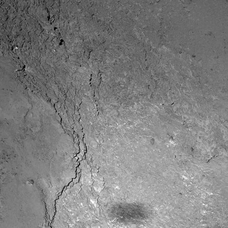 Rosetta's shadow on Comet 67P