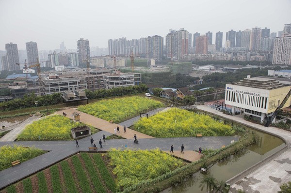 Buildings in Chinese cities flaunt "greened" rooftops.