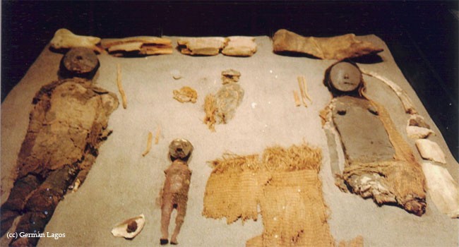 Chinchorro Mummies