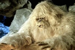 A yeti as we imagine it to be