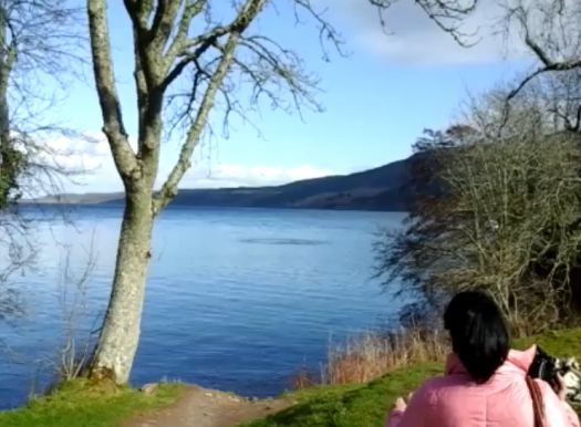 Ripples in the water following alleged sighting of the Loch Ness Monster
