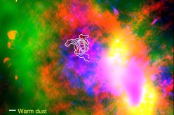 SOFIA data reveal warm dust (white) surviving inside a supernova remnant. The SNR Sgr A East cloud is traced in X-rays (blue). Radio emission (red) shows expanding shock waves colliding with surrounding interstellar clouds (green).