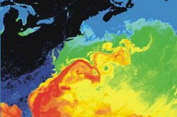 The Gulf Stream (shown in red)