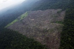 Huge tract of the Amazon rainforest cleared by loggers and farmers