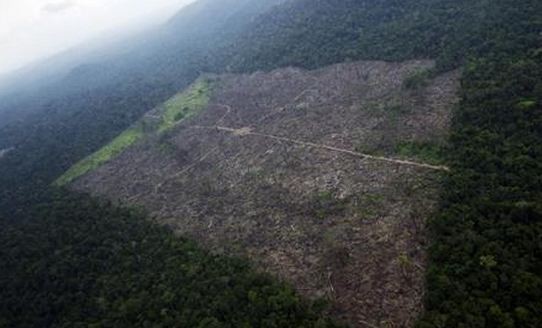 Huge tract of the Amazon rainforest cleared by loggers and farmers