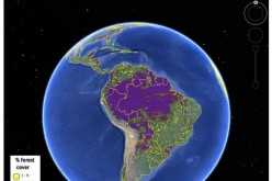 New hybrid forest map is more accurate than existing maps both for forest location and estimation of percentage forest cover.