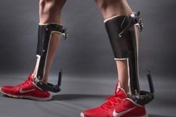 Ankle exoskeleton