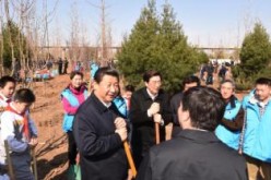 Communist Party of China (CPC) and state leaders Xi Jinping, Li Keqiang, Zhang Dejiang, Yu Zhengsheng, Liu Yunshan, Wang Qishan and Zhang Gaoli during a tree-planting event in Beijiing, April 3, 2015.