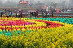 Colorful pinwheels are seen at a park in Luoyang City, central China's Henan Province, April 4, 2015. 