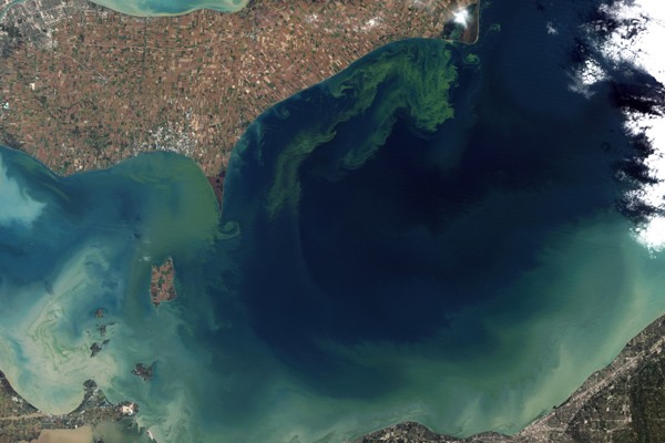 Algal Blooms from Lake Erie