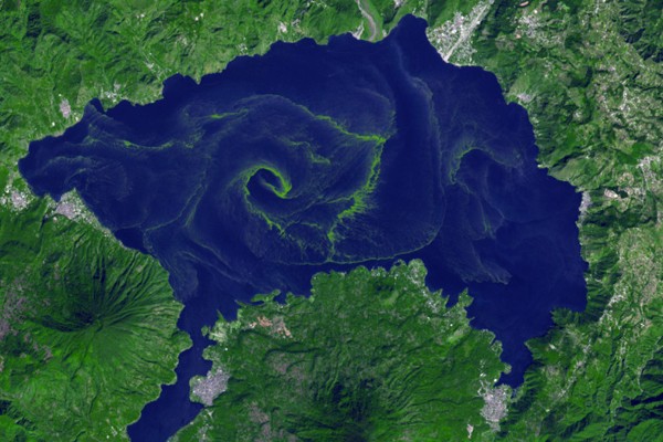 Algal Blooms from a lake in Guatemala