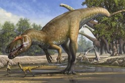 Torvosaurus gurneyi dinosaur