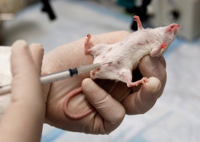 The Regulation on the Management of Laboratory Animals has been subject to a number of revisions in the past.