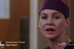 Ellen Pompeo as Meredith Grey