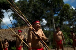 A Yanomami Indian