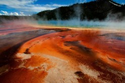 Thermal pool at Yellowstone