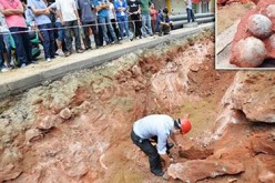 43 dinosaur eggs discovered in China
