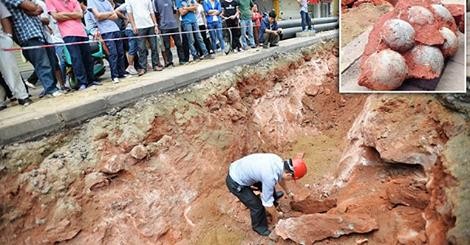 43 dinosaur eggs discovered in China