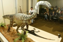 herbivore dinosaur called the Unaysaurus tolentinoi
