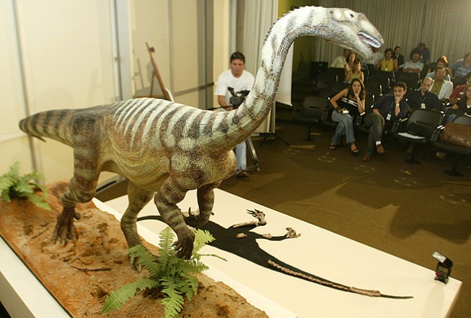 herbivore dinosaur called the Unaysaurus tolentinoi