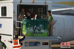 A new pair of giant pandas, given by China's central government as gifts to the Macau Special Administrative Region (SAR), arrives on April 30, 2015, amid warm welcome from the local people.