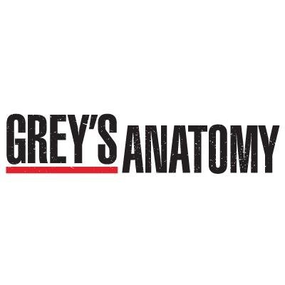 "Grey's Anatomy" Season 13 is set to air on ABC this Sept. 22.