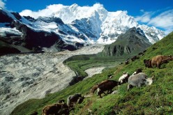 China is home to almost 15 percent of the glaciers in the world.