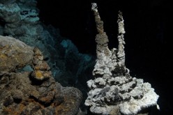 The microbe was found at 2,352 metres depth in the Atlantic between Norway and Greenland.
