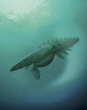 'Submarine Crab' Fossil