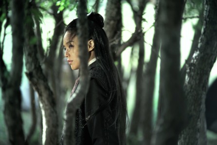 Shu Qi has been nominated for best actress for her performance in "The Assassin."