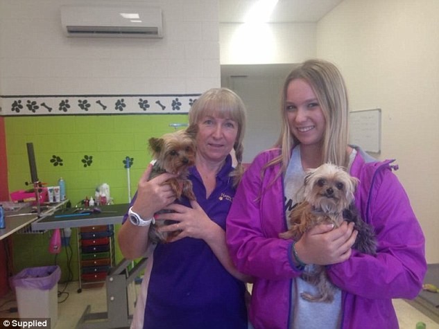Johnyy Depp's Pet Dogs, Pistol And Boo At The Gold Coast Grooming Salon