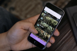 marijuana smartphone app
