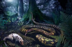 The first snakes 128 million years ago