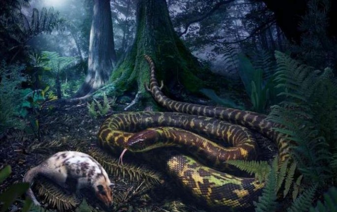 The first snakes 128 million years ago