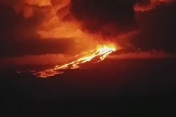 Wolf Volcano on Isabela island in Galapagos is now erupting sending lava flows down to the homes of rare pink iguanas.