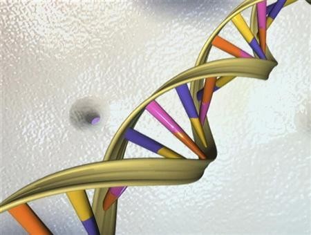 A DNA double helix is seen in an undated artist's illustration.