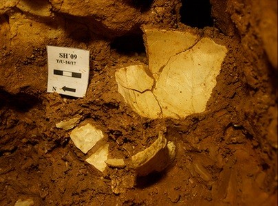 This Middle Pleistocene skull from 430,000 years ago had deadly wounds making it the first murder victim in human history.