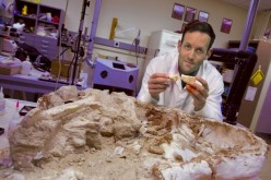 Vertebrate paleontologist Michael D'Emic