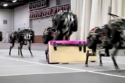 MIT's robot cheetah jumps