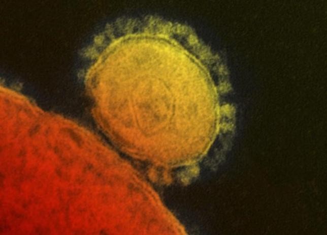 The new remedy could be the cure to the deadly MERS-Cov.