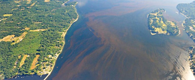 Toxic algae blooms already span from California to northern Washington state.
