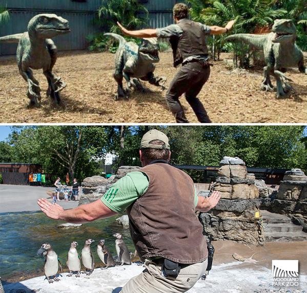 "Jurassic World" has inspired many zoo keepers to channel their animal pacifying vibe, mainly for fun. 